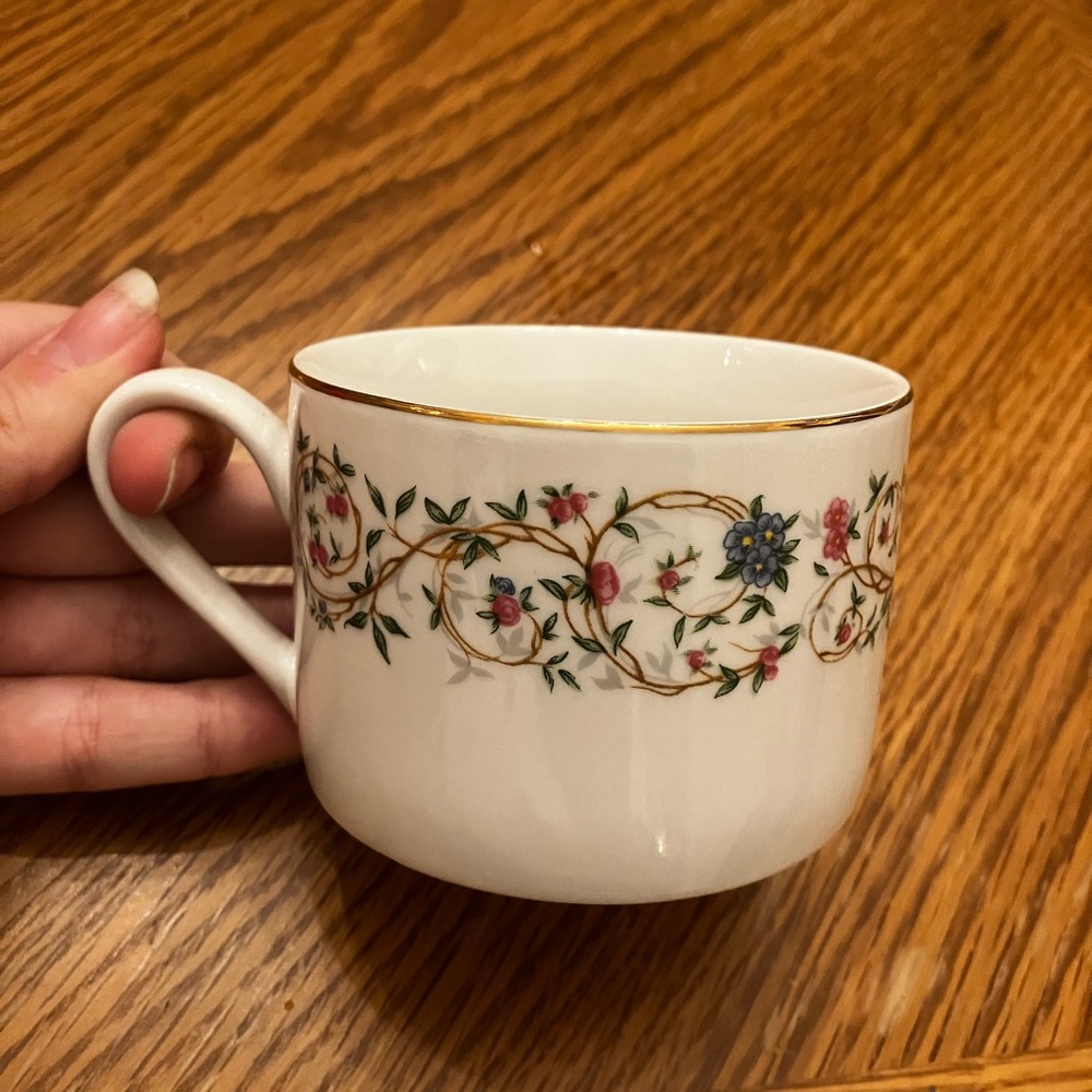 Farberware Monaco Fine China Set Of 8 Floral Vintage Teacup Mug